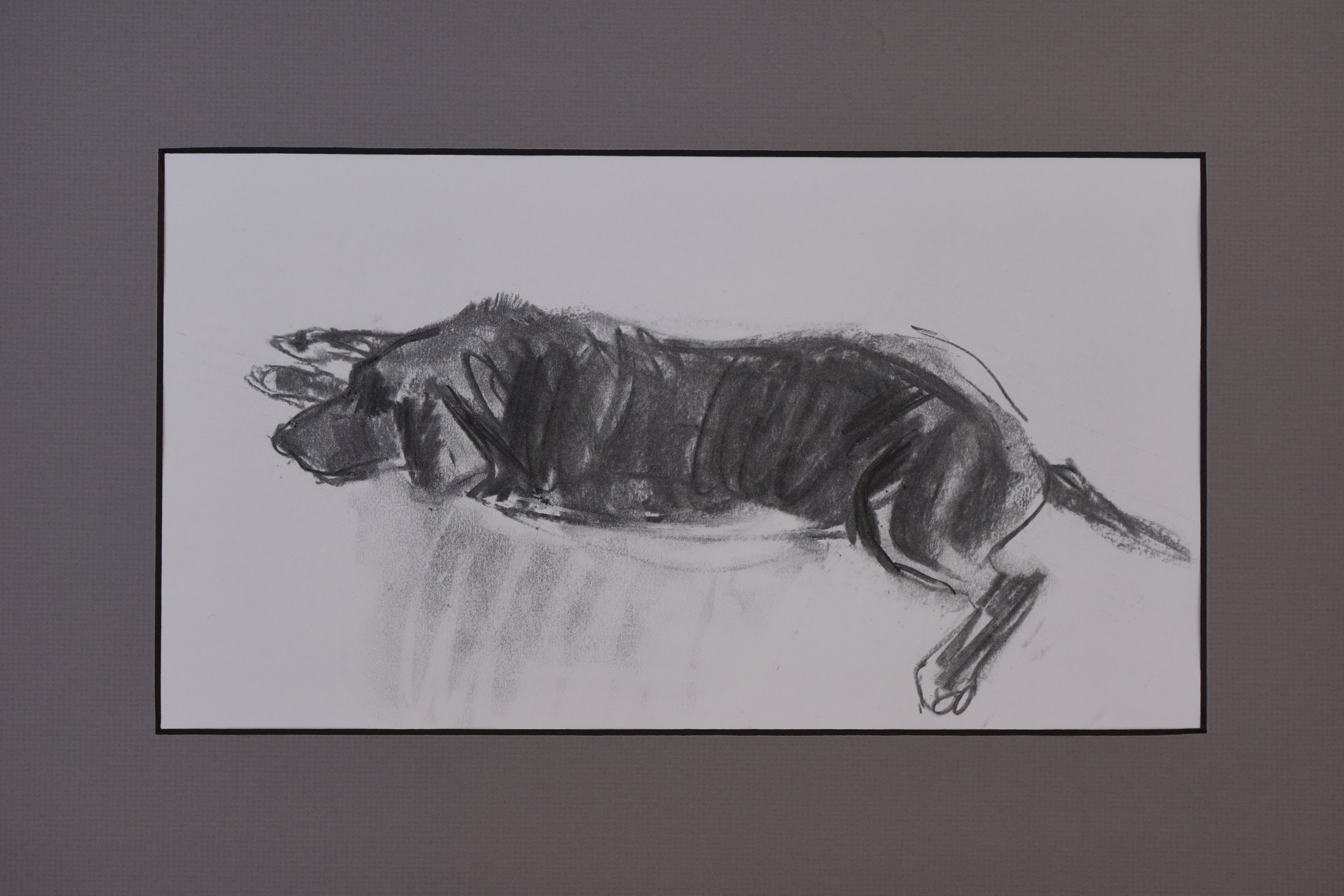 Kaiser — drawing by Michael Joseph