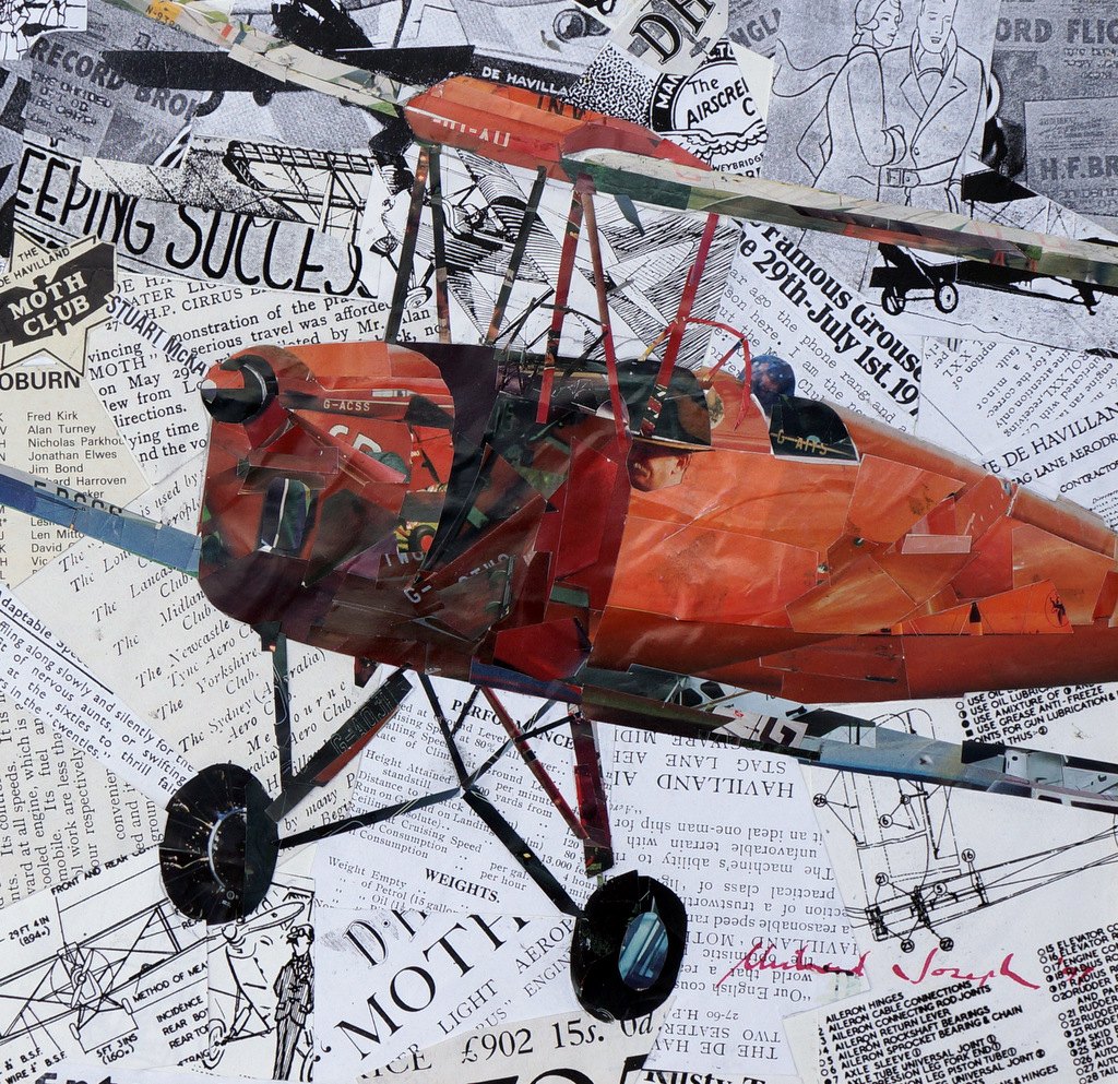 Tiger Moth — painting by Michael Joseph