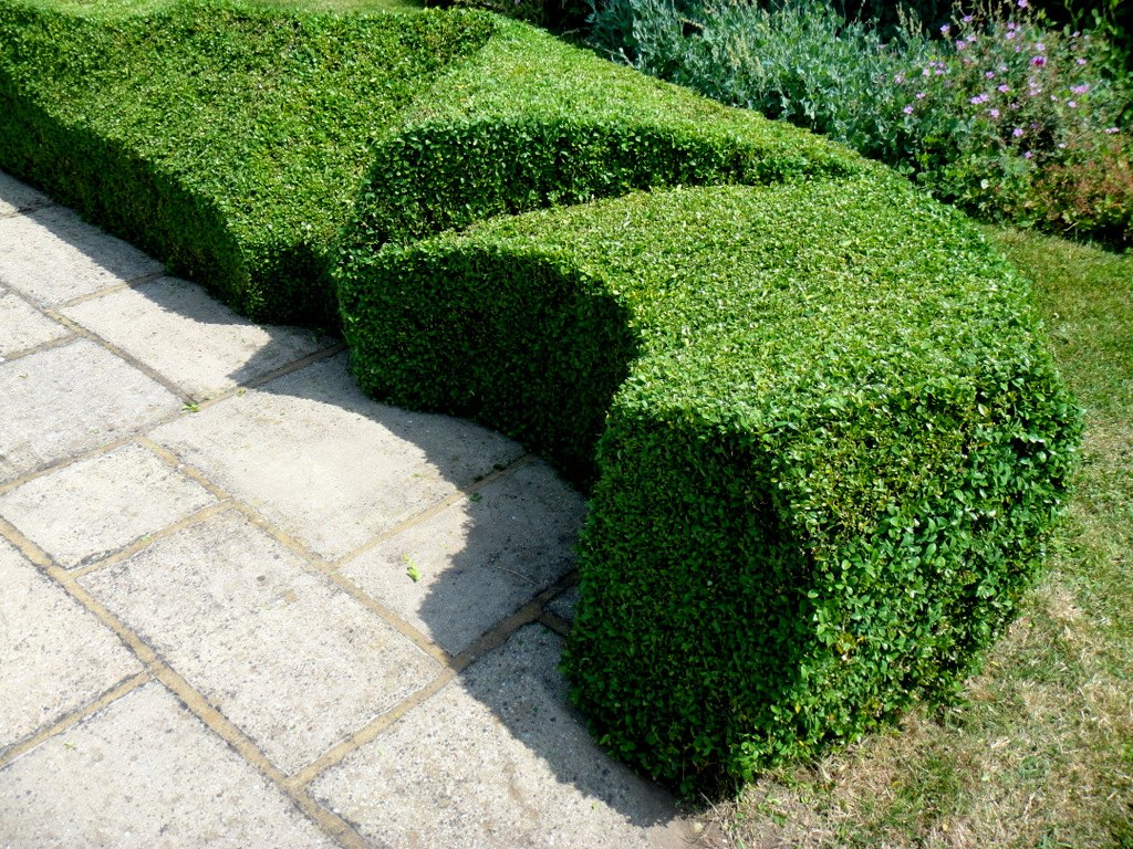 Topiary II — artwork by Michael Joseph